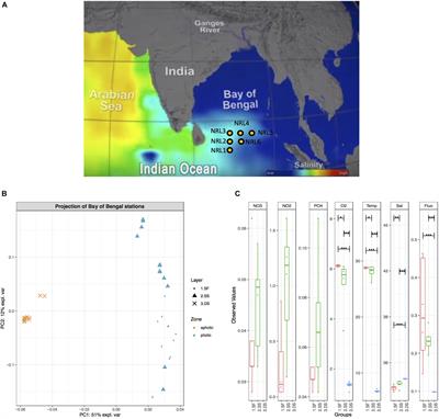 Microbial Composition and Variability of Natural Marine Planktonic and Biofouling Communities From the Bay of Bengal